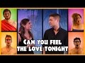 Can You Feel The Love Tonight - Disney Cover HD