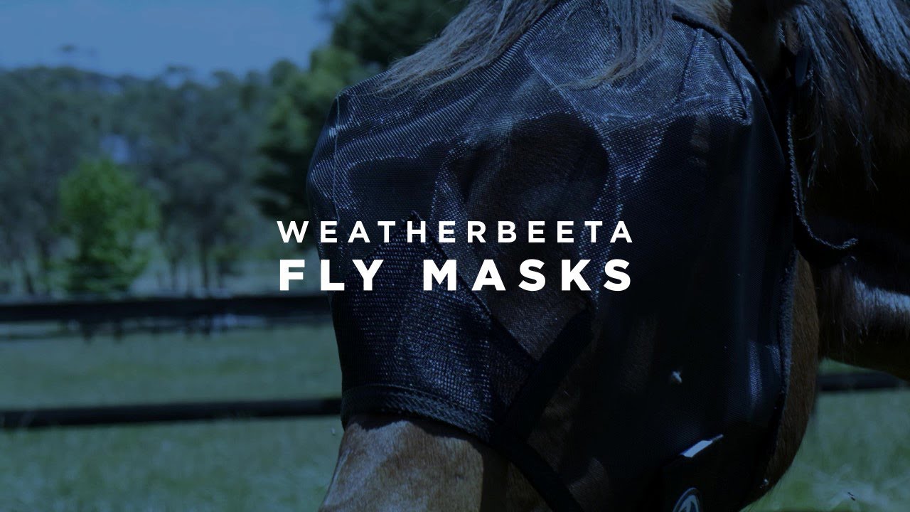 Summer Fly Masks WeatherBeeta AU & NZ YouTube
