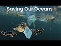 Saving our oceans from plastic pollution
