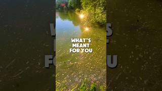 Whats ment for you will find its way