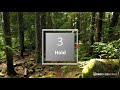 Middle of video