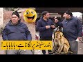 Tasleem abbas and soni best new comedy show  monkey show  ranaijaz