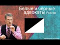 Белые и чёрные адвокаты России (стрим Романа Мельниченко)