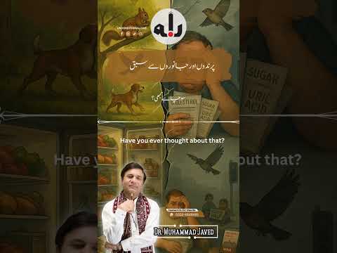 پرندوں اور جانوروں سے سبقLessons From The Birds And Animals Foryou Viewsproblem Cancercure Canc 