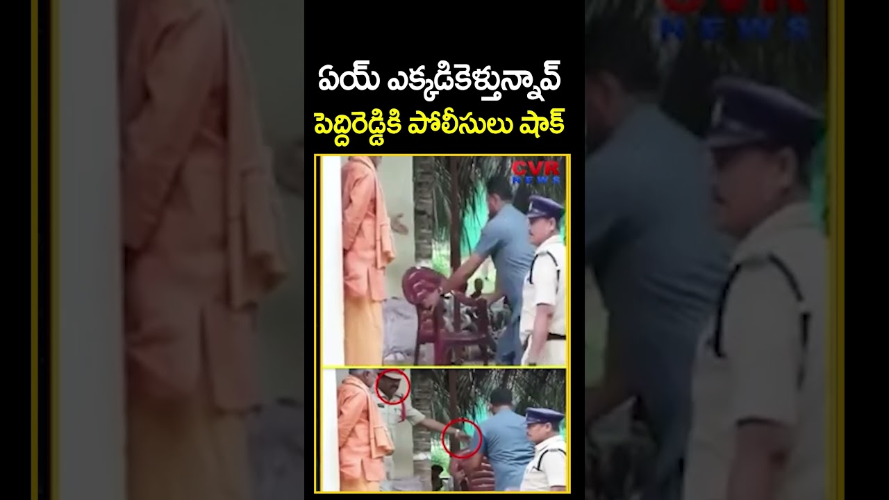 ఏయ్ ఎక్కడికెళ్తున్నావ్..పెద్దిరెడ్డికి పోలీసులు షాక్ | AP Police Big Shock To Peddireddy | Shorts