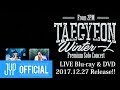 TAECYEON (From 2PM) Premium Solo Concert "Winter 一人" Digest Video