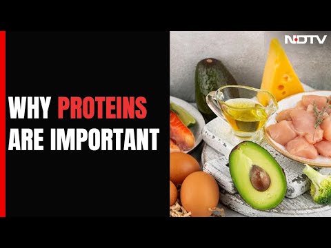 A Doctor's View On Why Proteins Are Important