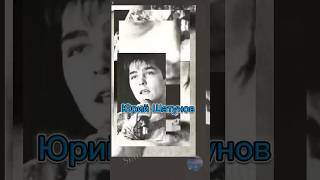 Ветер безумный все  наши встречи и надежды пусть унесет. Shatunov. S739