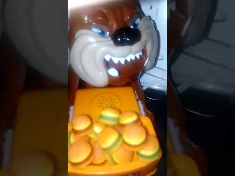 Mad Dog Toy Don't like candy Burger