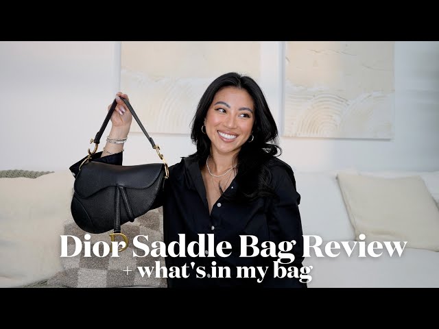 WIMB & REVIEW  DIOR MINI SADDLE 