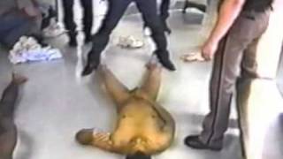 Prisoners abused/treated like dogs while police search for marijuana