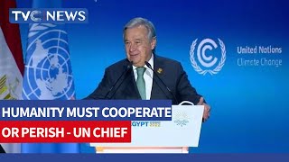 UN Chief Warns Humanity Must "Cooperate or Perish" at COP27 Summit
