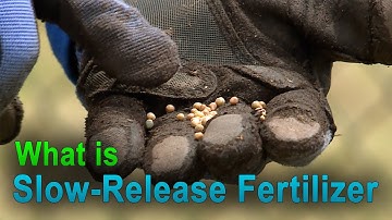 How Slow-Release Fertilizer Works – This Week in the Garden