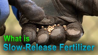How Slow-Release Fertilizer Works – This Week in the Garden