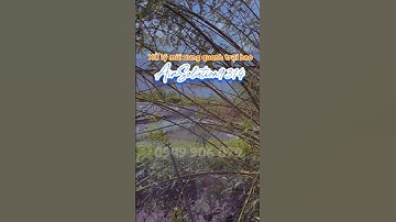 Xử lý mùi hôi khu vực xử lý nước thải, chuồng trại, bãi rác Airsolution9314