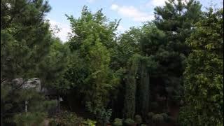 CANON M6 MARK 2 MANUAL VIDEO TEST 15 45 KIT 2025