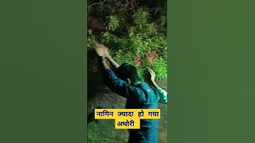 नागिन ज्यादा हो गया  अघोरी ...😆😅😆😅#nagin #love #song #music #nagindance #nagin_dance_video
