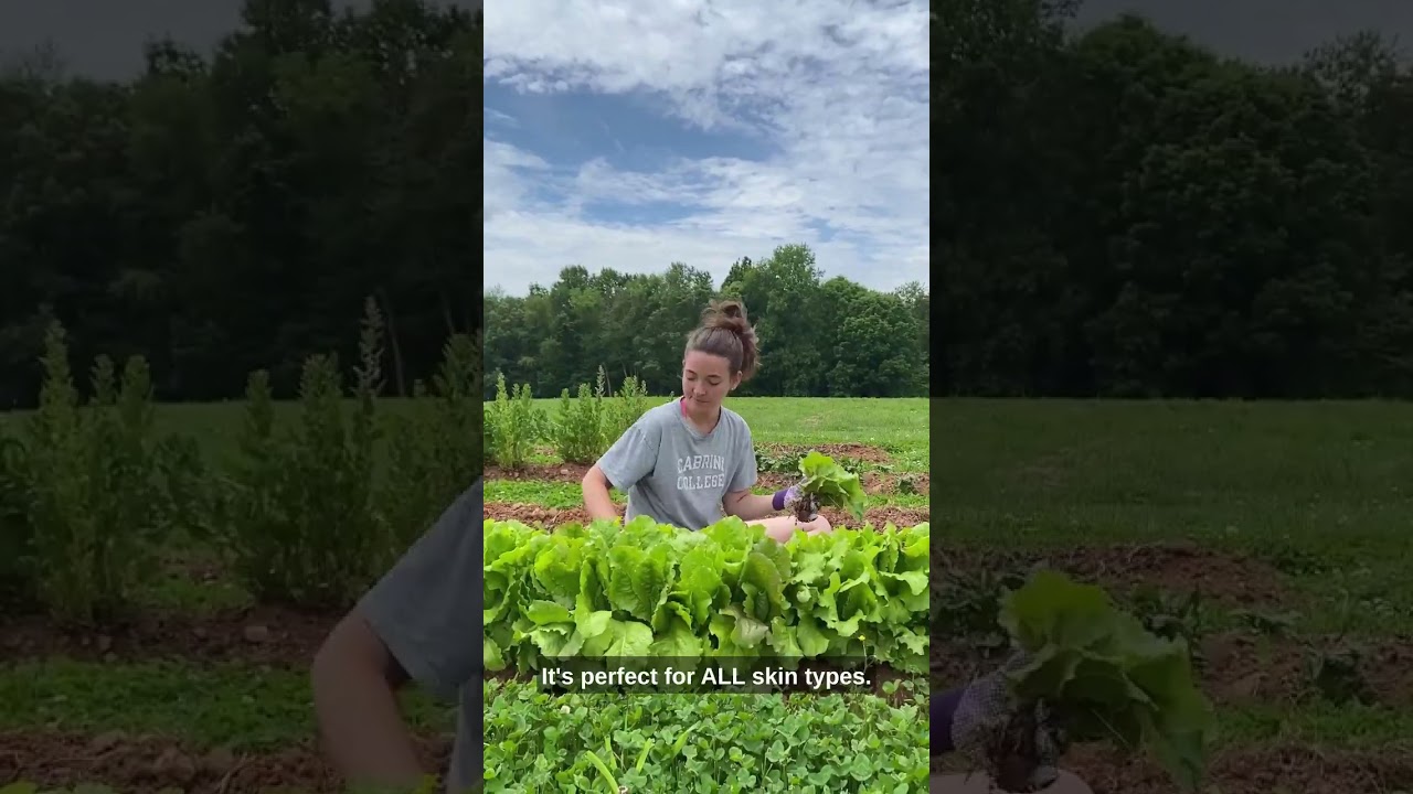 NEW Recovery After Sun Gel with Aloe Vera - For Skin & Face with Instant Sunburn Relief.