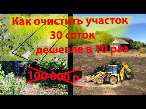 Как очистить участок от деревьев и поросли легко и просто