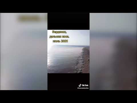 «В море просто невозможно зайти»! Испорченный отдых: что происходит на пляжах Азовского моря. ФОТО. ВИДЕО
