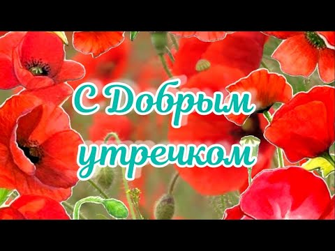 Доброе утро. Отличного Настроения #сдобрымутром #доброеутро #открыткисдобрымутром #доброеутречко