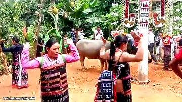 Múa Za Zá  Của Người Cơ Tu | Đám Cưới Truyền Thống Người Cơ Tu