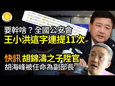 🔥要干啥？王小洪在全国公安会议上，一个字连提11次！快讯！胡锦涛之子胡海峰被任命为副部长；英防相称“和平红利”结束5年内恐要同时应付中俄；中国光大集团前党委书记唐双宁被逮捕【阿波罗网JM】