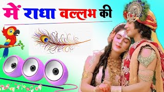 Main Radha Vallabh Ki Dj Remix Song Dholki Mix Dj Song Dj Ramkishan Sharma Aligarh Up Radha Vallabh
