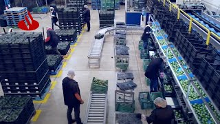 Promoting Sustainable Development Against All Odds Santander Bank