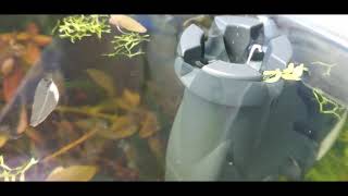 Àêâàðèóì íà ðàáîòå, îò÷åò(àêâàðèóì ïîñëå îòïóñêà) видео: Àêâàðèóì íà ðàáîòå, îò÷åò(àêâàðèóì ïîñëå îòïóñêà)