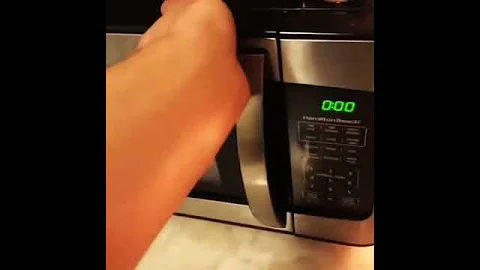 Cat in microwave 🐱🍗😱🤮