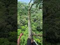 How can he get down? 😳  | Insta360 GO Ultra