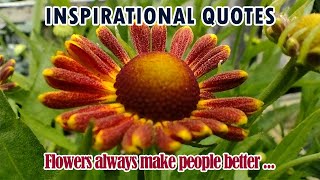 Inspirational Quotes about Flowers | Finding motivation in Nature | Lovely Flower Photos