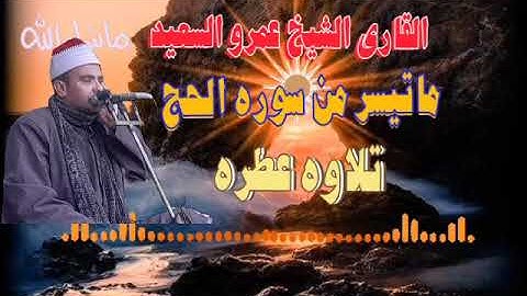الشيخ عمرو السعيد القارئ بجمهورية مصر العربية ماتيسر من سوره الحج 🎤🎶🎧 تلاوه نادره