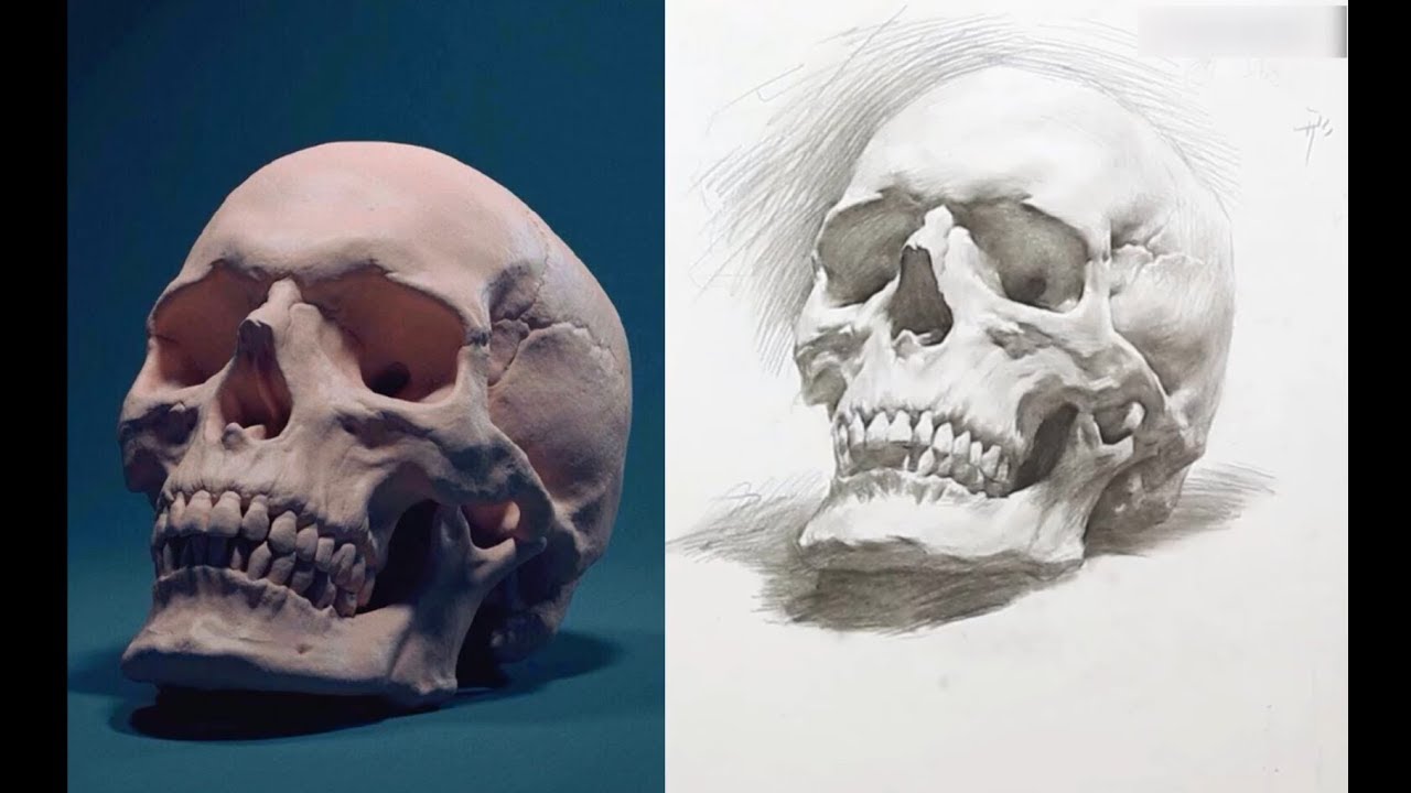 How to Draw Basic : Skull - YouTube