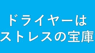 実はストレスだらけ？ドライヤーで毛を乾かしていませんか？