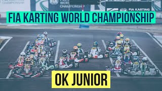 OK JUNIOR / FIA KARTING WORLD CHAMPIONSHIP / SPAIN - CAMPILLOS