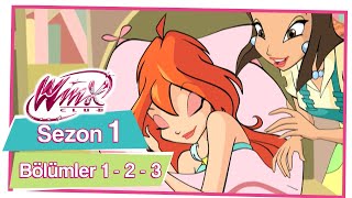 Winx Club - Sezon 1 Bölümler 1 2 3 Tüm Bölümler