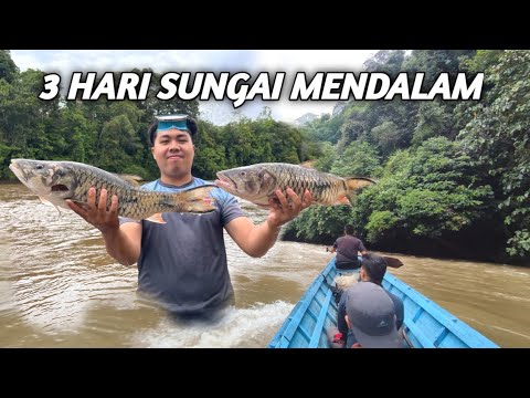 Video: Sungai Kem ialah yang terbesar di Karelia