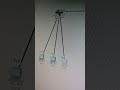 Computer Networking Lab #bangladeshstudents #programming #networking #ciscopackettracer