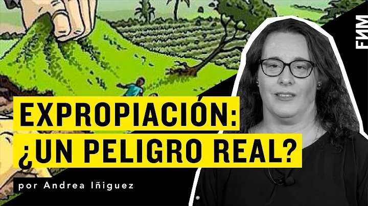Andrea Iiguez - Expropiacin: Un peligro real?