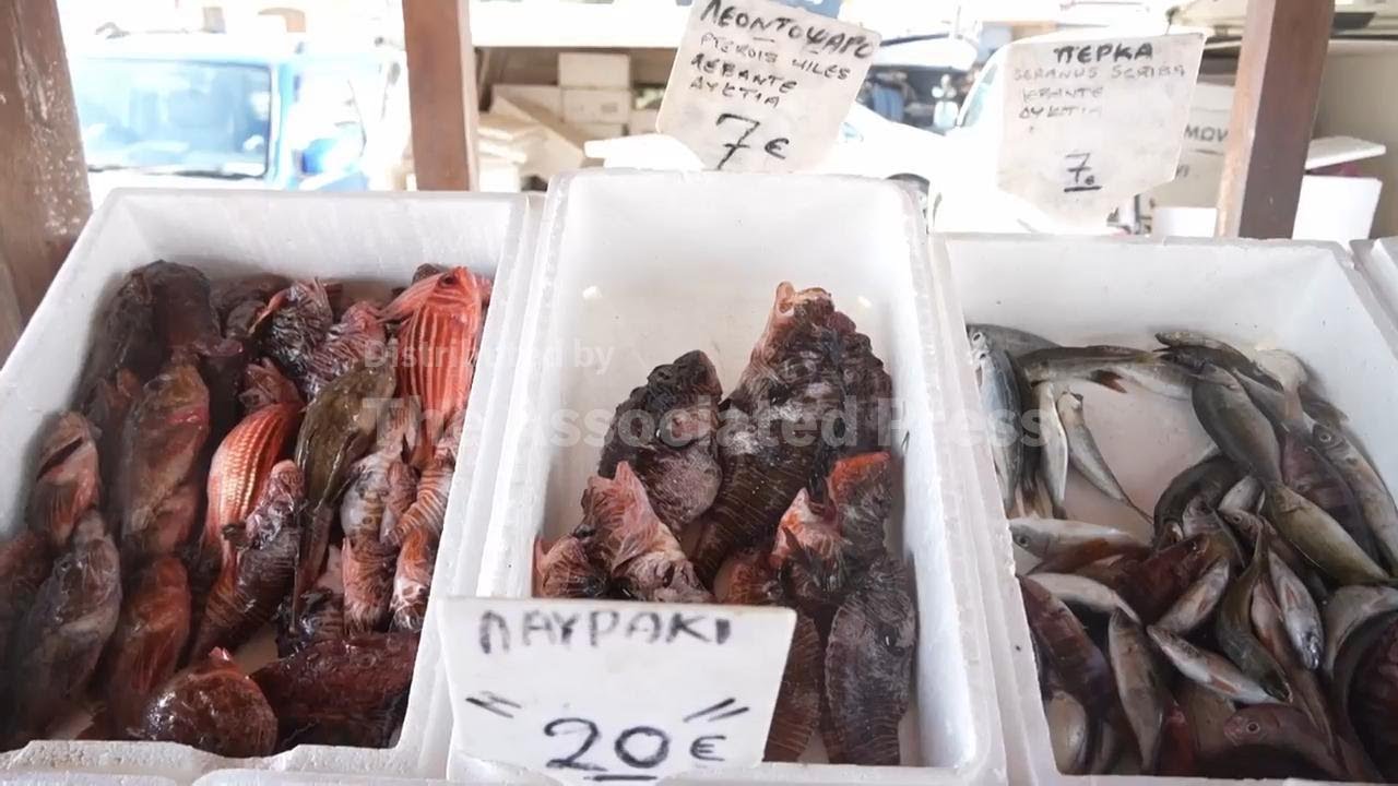 Fishermen in Cyprus battle invasive lionfish — by turning them into tavern delicacy