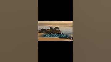 تلاوة مرتلة قصيرة من سورة الكهف@Sh.saad.nasser
