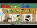 虫チャンネル開設しました！　昆虫ハウス１０１号室
