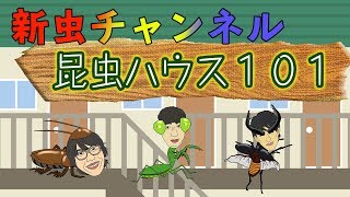 The insect channel has been launched! Insect House Room 101 screenshot 4