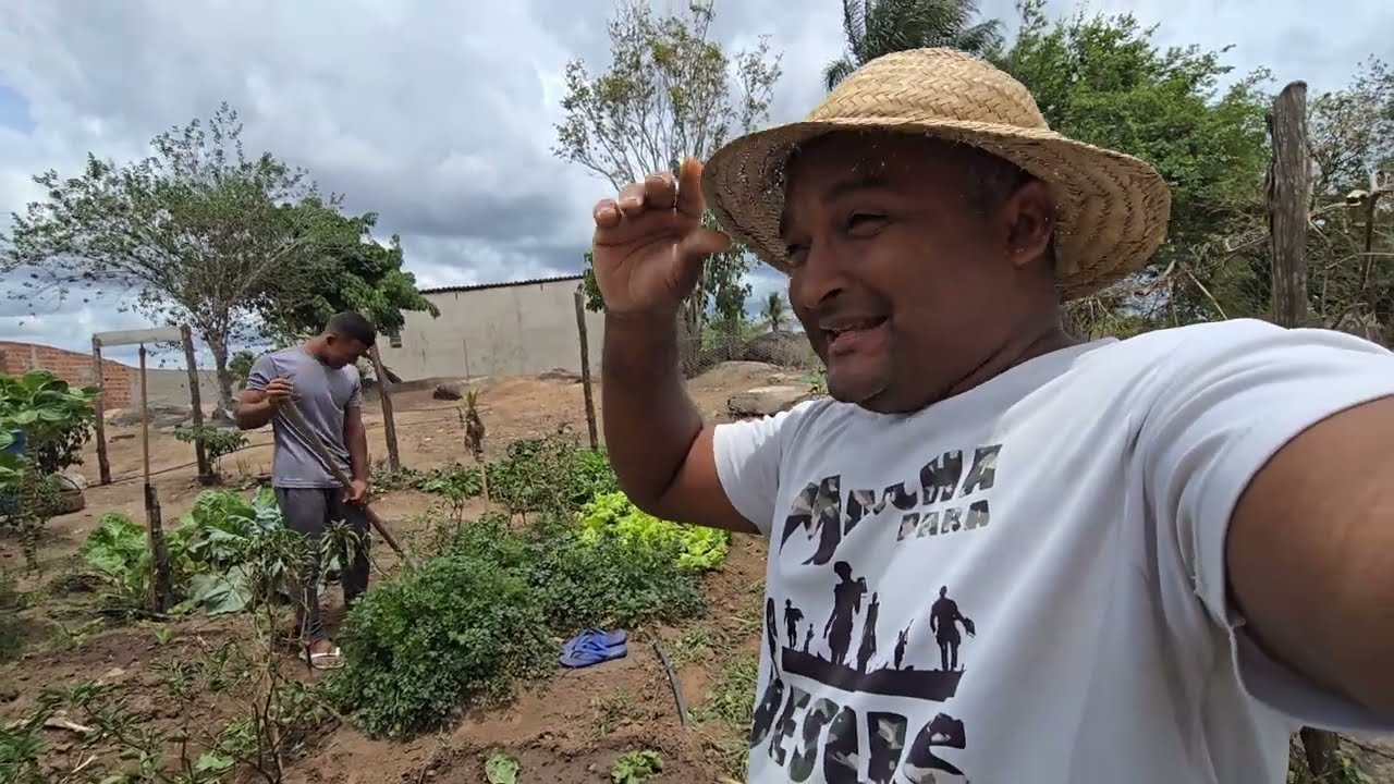 HOJE FOI DIA DE CUIDAR DA HORTA E SEMPRE  TEM AGUMA COISA PRA COLHER
