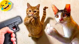 FUNNY CAT AND DOG FUNNY VIDEO 😩 BEST MOMENT OF VIDEO 🤣|| FUNNIEST