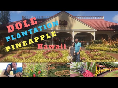 Video: Hướng dẫn Tham quan Đồn điền Dole ở Oahu
