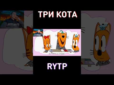 СОСТАВ ДОГОВОРА RYTP Три Кота