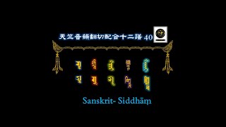 天竺音韻翻切配合十二譜 천축음운번절배합십이보 0040 गॄ gṝ  실담문자 siddhāṃ 란찰문자 lantsha 티베트문자 tibetan 만주문자 manchu몽골문자Mongolian